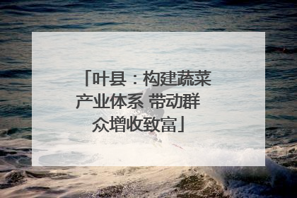 叶县：构建蔬菜产业体系 带动群众增收致富